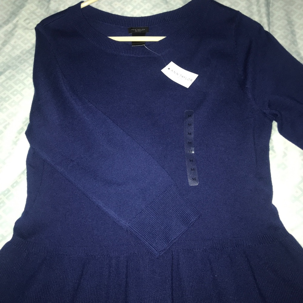 Ann Taylor sweater
